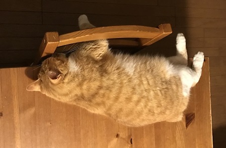 20170621_103859965_iOS.jpg