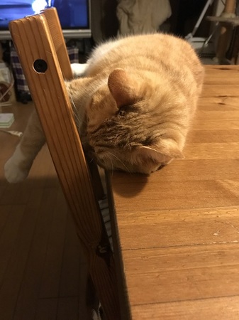 20170621_103920761_iOS.jpg