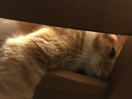 20170621_103935138_iOS.jpg