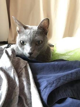 20170809_074237071_iOS.jpg