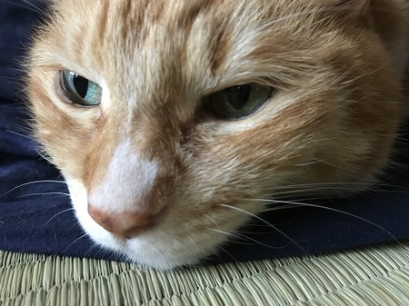 20170809_074604164_iOS.jpg