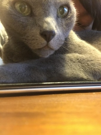 20170819_083202291_iOS.jpg