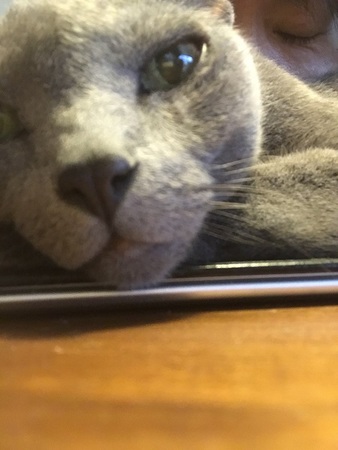 20170819_083232533_iOS.jpg