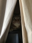 20170901_071656697_iOS.jpg