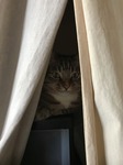 20170901_071658622_iOS.jpg