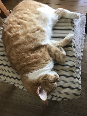 20170902_063004355_iOS.jpg