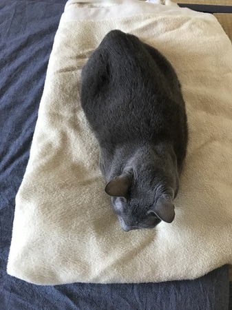 20170902_063041407_iOS.jpg