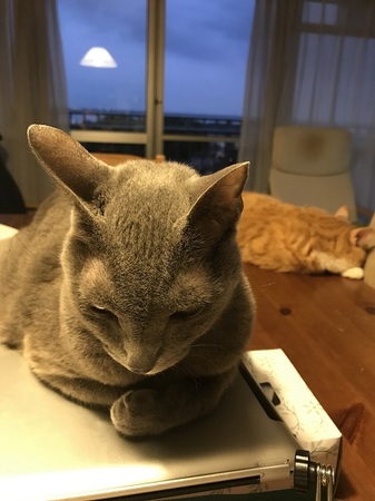 20170908_091155843_iOS.jpg