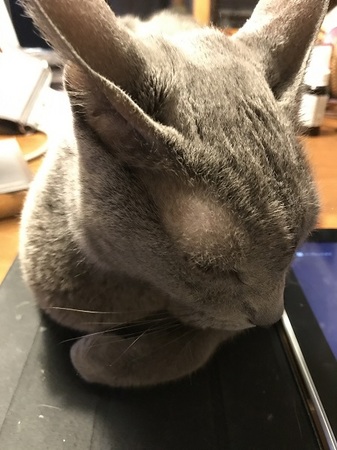 20170914_085315517_iOS.jpg