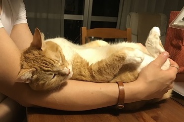 20170925_155146083_iOS.jpg
