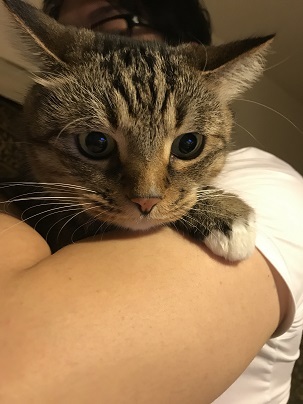 20170925_155833700_iOS.jpg