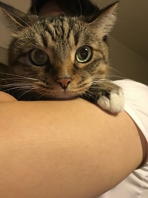 20170925_155835863_iOS.jpg