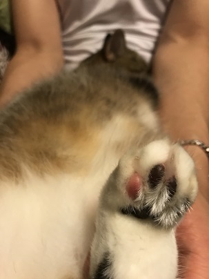 20170925_155942595_iOS.jpg