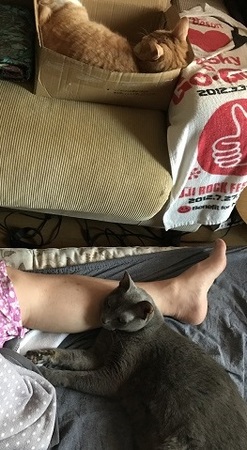 20170926_024009282_iOS.jpg