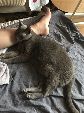 20170926_024020148_iOS.jpg