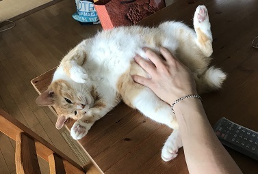 20170928_032254602_iOS.jpg
