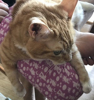 20170929_035752567_iOS.jpg