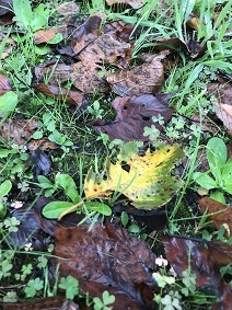 20171013_041554648_iOS.jpg