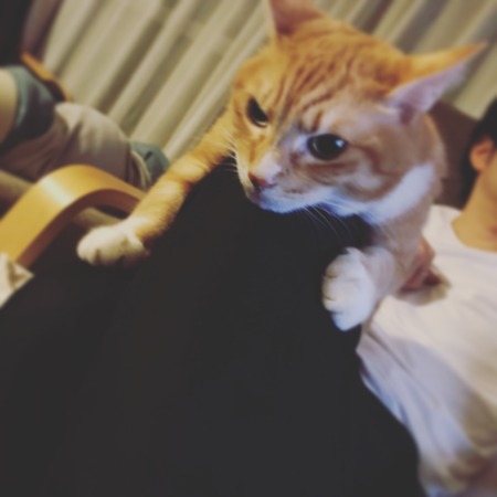 20171115_101008209_iOS.jpg