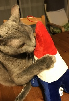 20171115_125423968_iOS.jpg