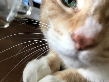 20171227_051246109_iOS.jpg