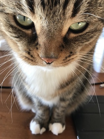 20171230_001838535_iOS.jpg