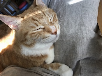 20180102_024135097_iOS.jpg