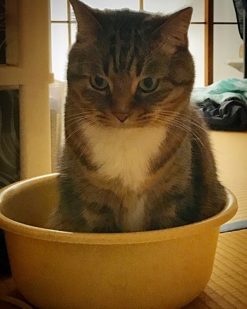 20180108_045509851_iOS.jpg
