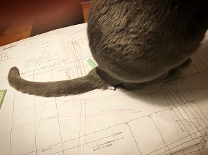 20180131_083813913_iOS.jpg