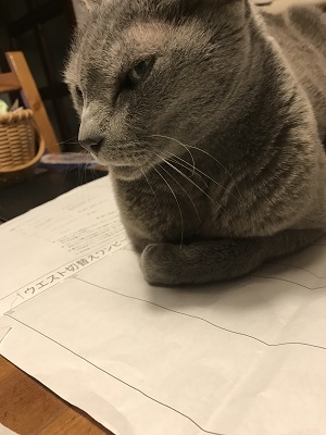 20180131_084328703_iOS.jpg