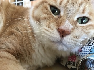 20180207_030124169_iOS.jpg