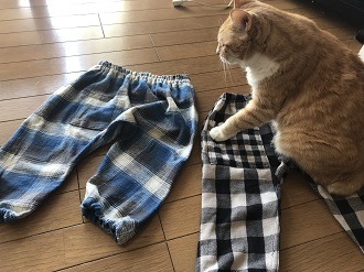 20180209_024240115_iOS.jpg