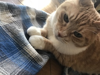 20180209_024311176_iOS.jpg