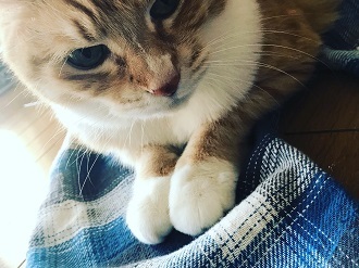 20180209_024311640_iOS.jpg
