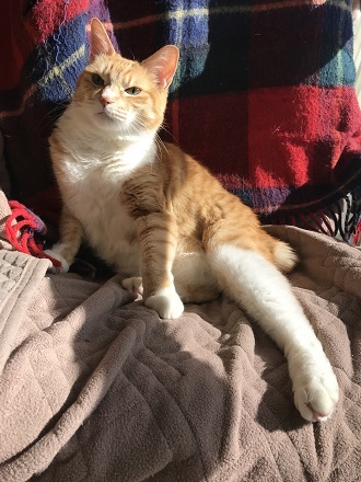 20180218_012035104_iOS.jpg