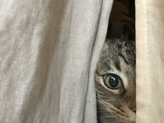 20180221_001156527_iOS.jpg