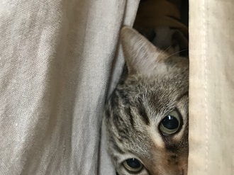 20180221_001157585_iOS.jpg