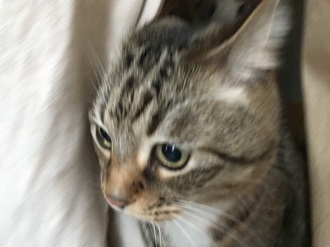 20180221_001205987_iOS.jpg