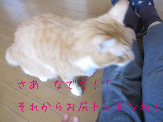 IMG_9155.jpg