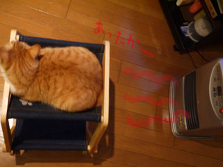 P1020741.jpg