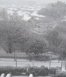iPhone4S 20130114 016.jpg