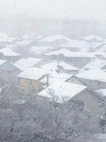 iPhone4S 20130114 032.jpg